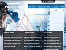 Tablet Screenshot of morganschaffer.com